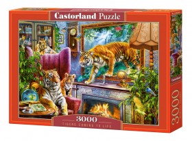 Castorland. пазл 3000 &quot;Тигры возвращаются к жизни&quot;