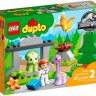 LEGO. Конструктор "Duplo Dinosaur Nursery" (Питомник динозавров)