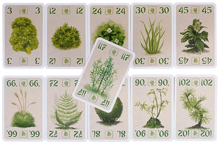 Настольная игра "Оханами" 8+