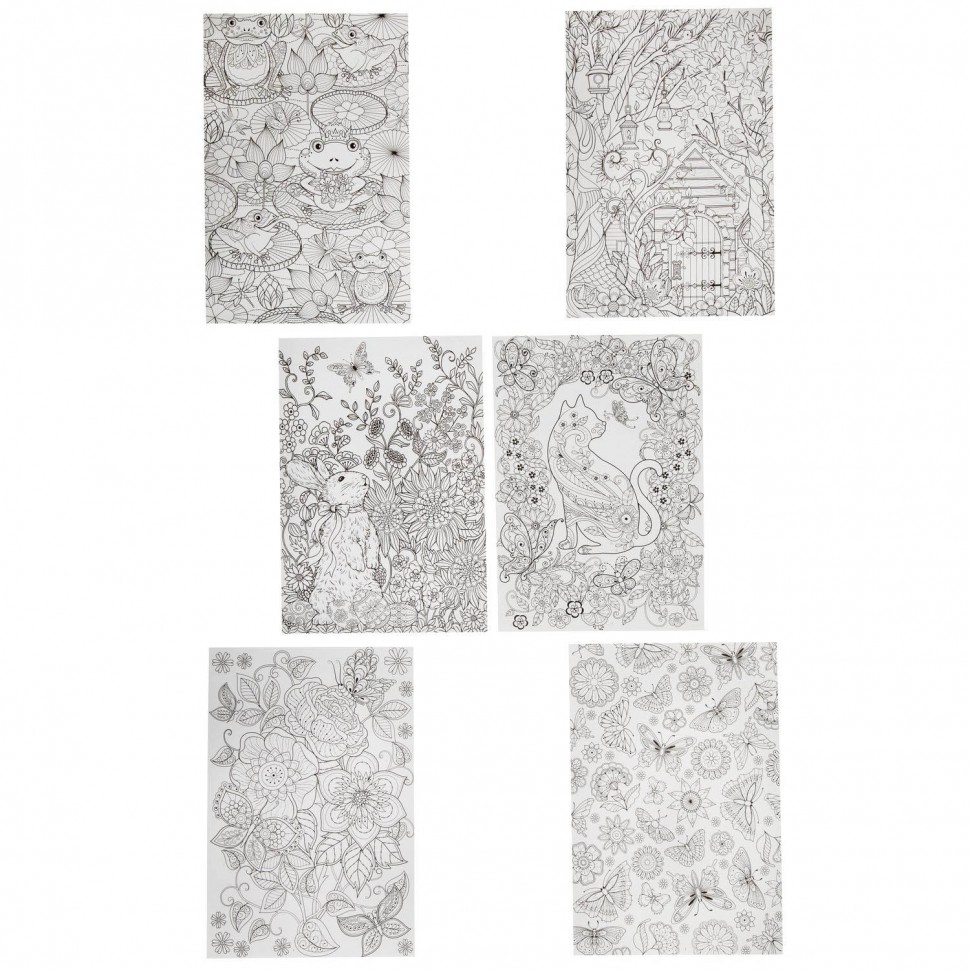 BONDIBON ВВ1712 Набор раскрасок антистресс "В саду" 6 листов  30х21 см. арт. CPA2306V /24